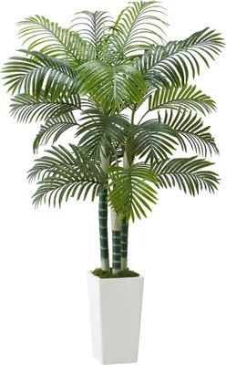 Image de 1829 mm Palmier Areca artificiel avec pot blanc pour intérieur