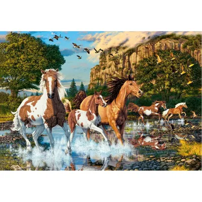 Produktbild von CASTORLAND Puzzle Pferdewunderland 1000 Teile