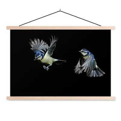 Produktbild von MuchoWow® Textilposter Vögel - Federn - Schwarz 60x40 cm mit holzfarbenen Rahmen - Bilder