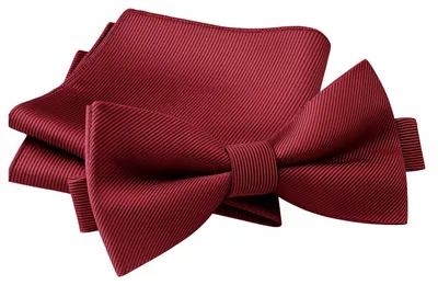 Produktbild von Luvu Herren Fliegen-Set Bordeaux Gestreift Elegant