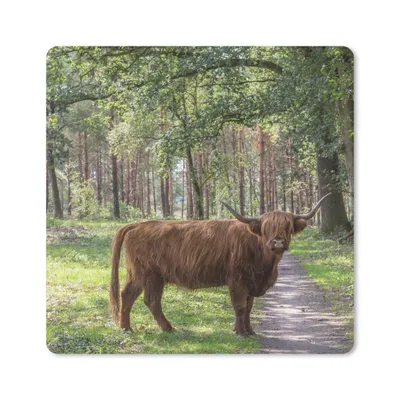 Produktbild von MuchoWow® Mauspad Mousepad Schottischer Highlander - Kröte - Baum 20x20 cm - Mousepads - Maus Mat - Pad - Mausunterlage - Desk Mat - Bureauartikeln