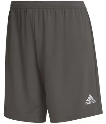 Produktbild von adidas Entrada 22 Shorts XS (Damen) TEGRFO