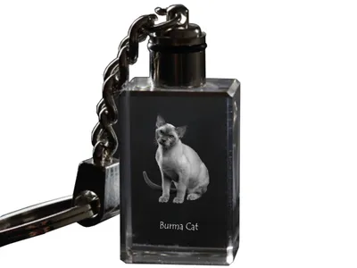 Obrázok produktu pre Art-Dog Kľúčenka – Barmská mačka