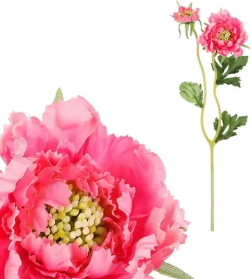 Obrázek produktu pro Autronic Hlaváč růžová UKK205 PINK