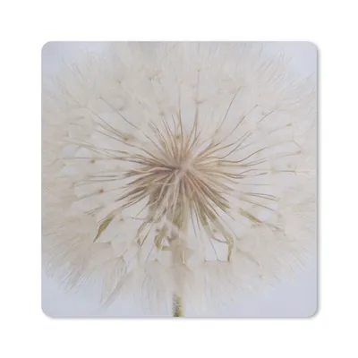 Produktbild von MuchoWow® Mauspad Mousepad Blumen - Löwenzahn - Entwurf 30x30 cm - Mousepads - Maus Mat - Pad - Mausunterlage - Gaming
