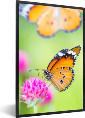 Produktbild von MuchoWow® Gerahmtes Poster Insekten - Schmetterlinge - Blumen 60x90 cm - Poster mit Schwarzem Bilderrahmen Wandposter Rahmen Foto Bilder - Kunst