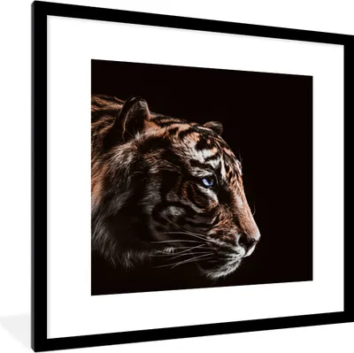 Produktbild von MuchoWow® MuchoWow® Gerahmtes Poster Tiger - Tiere - Schwarz 40x40 cm - Poster mit zchwarzem Bilderrahmen - Poster - Plakat im Rahmen