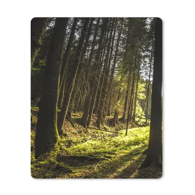 Produktbild von MuchoWow® Mauspad Mousepad Baum - Natur - Sonne - Wald 30x40 cm - Mousepads - Maus Mat - Pad - Mausunterlage - Mausmatten