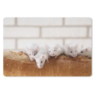Produktbild von MuchoWow® Mauspad Mousepad Mäuse auf einem Laib Brot 27x18 cm - Mousepads - Maus Mat - Pad - Mausunterlage - Büroartikel - Desk Matten