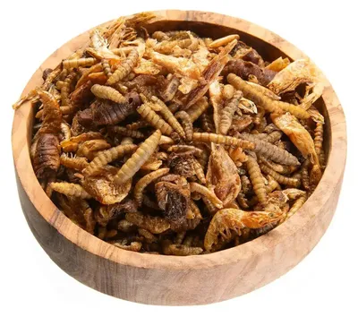 Productafbeelding van Fish Pharma Koi Treats Mix natuurlijke insectensnack voor koi 1 Liter