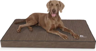 Produktbild von Knuffelwuff orthopädische Hundematte Palomino aus laser-gestepptem Kunstleder XXL 115 x 80 Braun