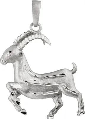 Produktbild von Anhänger Sternzeichen Steinbock aus 925 Silber, Halsschmuck rhodiniert teilmatt