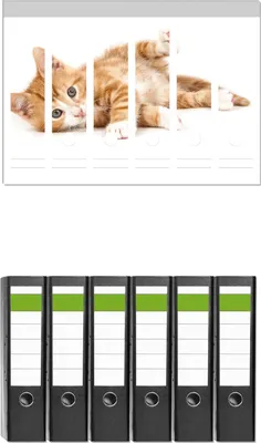 Produktbild von Wallario 6 Stück breite Ordner inkl. Klebeetiketten mit Motive Süße Katze mit großen Augen - rot weiß getigert -  Set mit Rückenschildern / Ordnerrücken Stickern