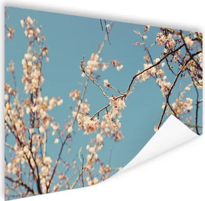 Produktbild von MuchoWow® Poster Blüte 120x80 cm - Bilder