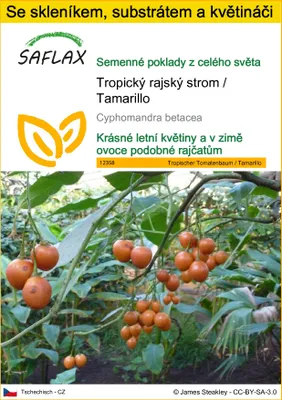 Obrázek produktu pro SAFLAX Kultivační sada - Tropický rajský strom / Tamarillo - Cyphomandra betacea - 50 Semena - S mini skleníkem, pěstebním substrátem a 2 květináči