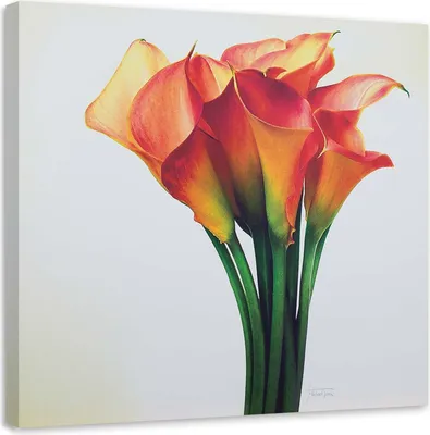 Image de Tableau sur toile bouquet de fleurs rouges 60x60 cm Feeby couleur tableau mural prêt à accrocher