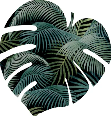 Produktbild von Bertoni Monstera Filzunterlage M 33x33 cm 4 mm dick - Mallorca