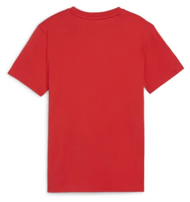 Obrázok produktu pre Detské tričko Puma Teamgoal Casuals Tee Jr Red - 152