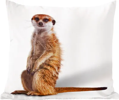 Produktbild von MuchoWow® Zierkissen Sofakissen Wohnzimmer Dekokissen 45x45 cm Erdmännchen - Tiere - Fell - Schlafpolster - Polster für das Sofa