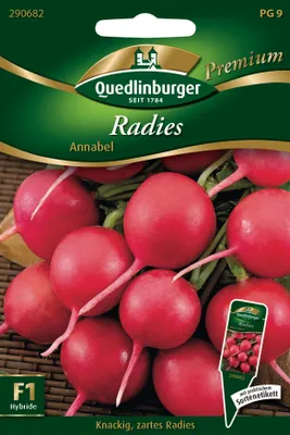 Produktbild von Radieschen 'Annabel' Quedlinburger Gemüsesamen