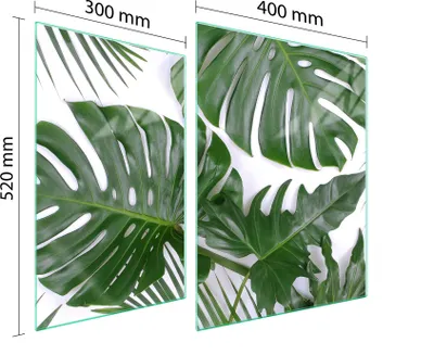 Obrázek produktu pro Ochranná Deska Pro Herd 70X52 Monstera