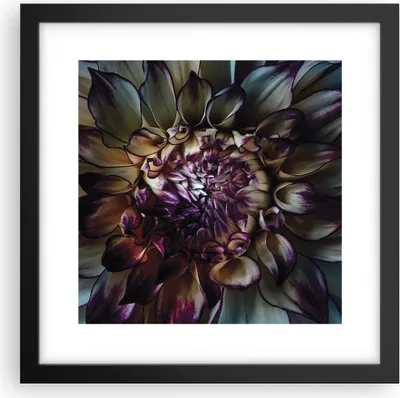 Produktbild von Gerahmtes Poster - Schwarzer Rahmen - Blätter Agave Blume - 30x30 cm - Wand Bild - Wanddeko - Wandbilder - Kunstposter - Wandposter - Bilderrahmen - Bilder - Kunstdruck - P2BAC30x30-5122