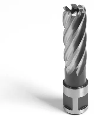 Productafbeelding van Evolution frees, langssnijder, 19 x 50 mm