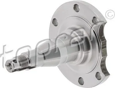 Produktbild von TOPRAN Achszapfen 111 407 Hinten beidseitig für AUDI A4 Limousine (8D2, B5)