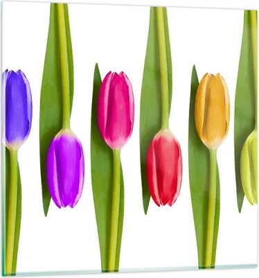 Produktbild von Bilder auf glas - Tulpe Blume Garten Komposition - 50x50cm - Glasbilder - Wandbilder - Kunstdruck - zum Aufhängen bereit - Wanddekoration aus Glas - Glas Bilder - Wandbild auf Glas - GAC50x50-2360