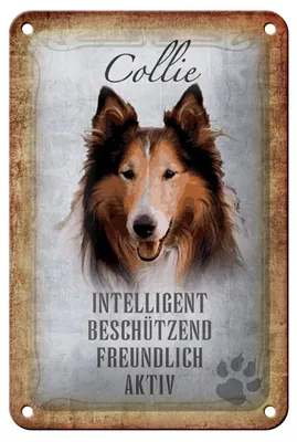 Produktbild von Blechschild Spruch 12x18cm Collie Hund freundlich Schild