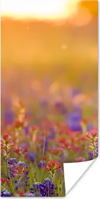 Produktbild von MuchoWow® Poster Blumen - Gold - Sonne 60x120 cm - Wandschmuck