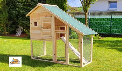 A wooden chicken coop with a green roof sits on a grassy lawn in a backyard setting.