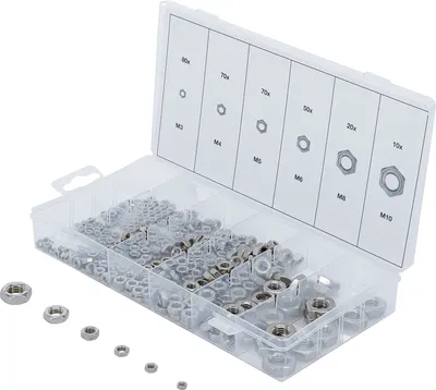 Immagine prodotto di BGS Assortimento di dadi esagonali in acciaio inox 300 pezzi - 74249