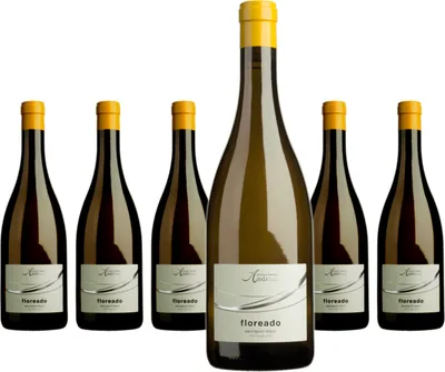Produktbild von 6 x Cantina Andrian floreado Sauvignon Blanc DOC