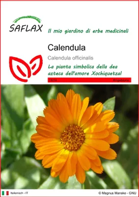 Immagine prodotto di SAFLAX  - Calendula - 50 semi - Calendula