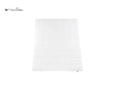 Produktbild von Häussling Traumulus Ganzjahresdecke Daunen KB 8x9 Karo, 220x240 cm, Deutsche Manufaktur, auch für Allergiker geeignet, Bezug 100% Baumwolle