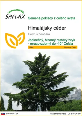 Obrázok produktu pre SAFLAX - himalájsky céder - Cedrus deodara - 35 Semená