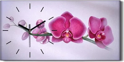 Produktbild von Wanduhr Uhr Wandbild Leinwand Geräuschlos 60x30 Aquarell Blumen Zweig Orchidee - schwarze Hände