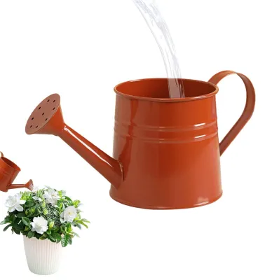 Productafbeelding van 1 Liter Gieter voor Kamerplanten van Metaal