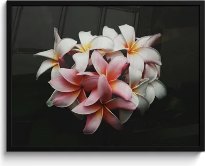 Produktbild von MuchoWow® MuchoWow® Gerahmtes Poster Blumen - Rosa - Schwarz - Flora - Botanisch 80x60 cm - Poster mit zchwarzem Bilderrahmen - Schwarzem - Mit Gestell