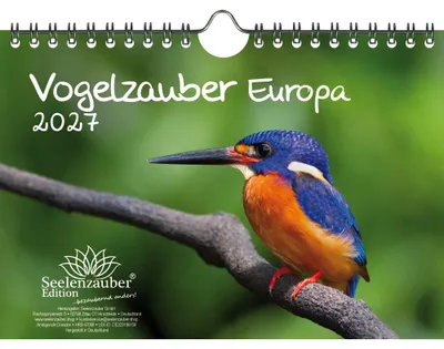 Produktbild von Vogelzauber Europa DIN A5 Kalender für 2027 Vogel - Seelenzauber