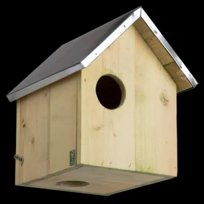 Image de Abri en bois et zinc pour écureuil