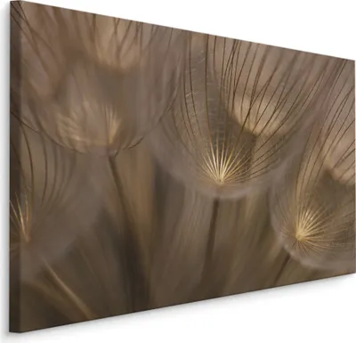 Produktbild von Fabelhafte Canvas LEINWAND BILDER 120x80 cm XXL Kunstdruck Natur Blumen Pusteblume