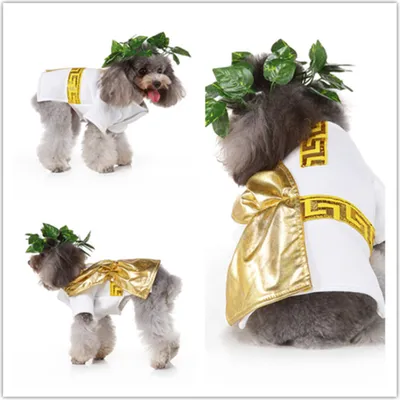 Productafbeelding van ZELURXX Hondenjas, rok voor honden, Halloween kostuum, kerstkostuums voor honden, kleding voor honden en katten, feestkleding, kleurblokken, maat S