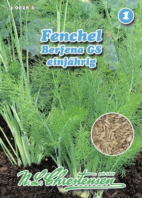 Produktbild von Fenchel Berfena GS | Fenchelsamen von N.L. Chrestensen