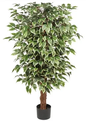 Obrázok produktu pre Umelý fikus so skutočným dreveným kmeňom, 123 cm, dekorácia