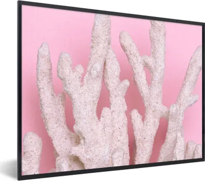 Produktbild von MuchoWow® Gerahmtes Poster Koralle - Rosa - Sommer 80x60 cm - Poster mit Schwarzem Bilderrahmen Wandposter Rahmen Foto Bilder - Schwarzem - Mit Gestell