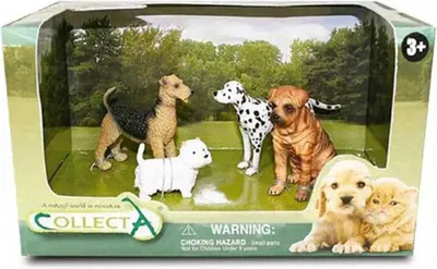 Immagine prodotto di Set regalo COLLECTA - cani