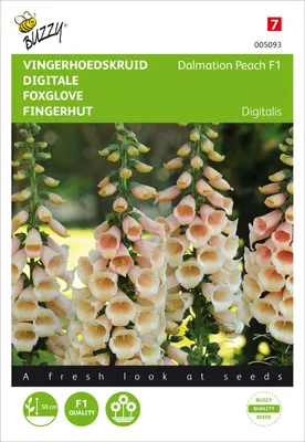 Produktbild von Fingerhut Dalmatian F1 Peach | Fingerhutsamen von Buzzy Seeds