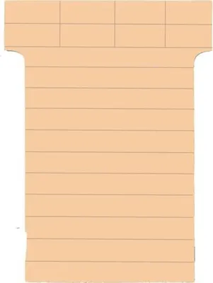 Produktbild von T-Karten Schmalformat B60xH85mm gazellenbraun VE=100 Stück